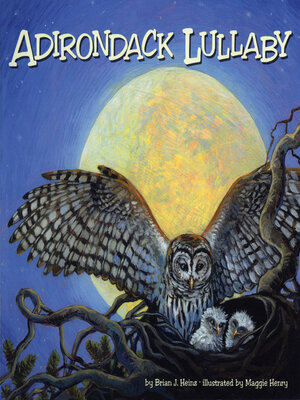 cover image of Adirondack Lullaby